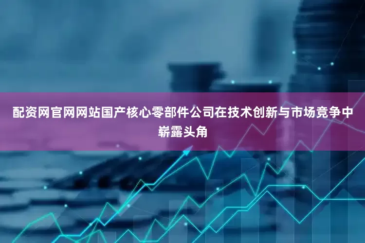 配资网官网网站国产核心零部件公司在技术创新与市场竞争中崭露头角