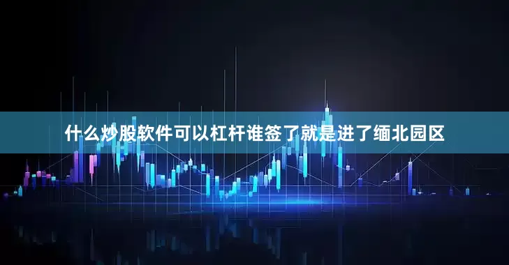 什么炒股软件可以杠杆谁签了就是进了缅北园区