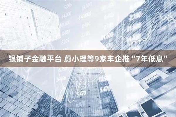 银铺子金融平台 蔚小理等9家车企推“7年低息”