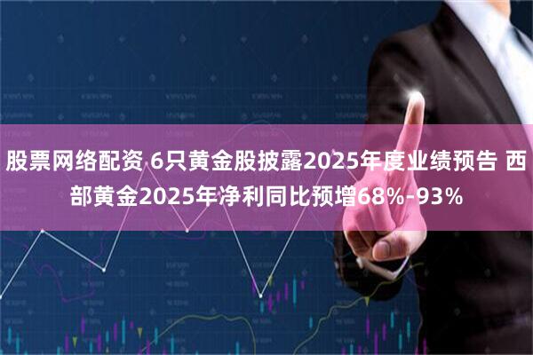股票网络配资 6只黄金股披露2025年度业绩预告 西部黄金2025年净利同比预增68%-93%